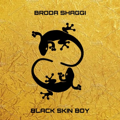 Black Skin Boy | Boomplay Music