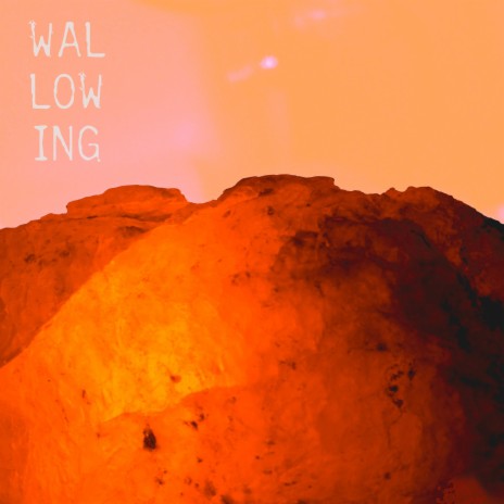 Wallowing ft. Nicholas Drake | Boomplay Music