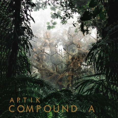 Compound A | Boomplay Music