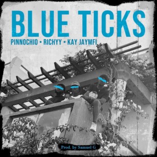 Blue Ticks | Boomplay Music