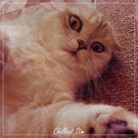 Cute Cat | Boomplay Music
