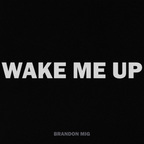 Wake Me Up | Boomplay Music