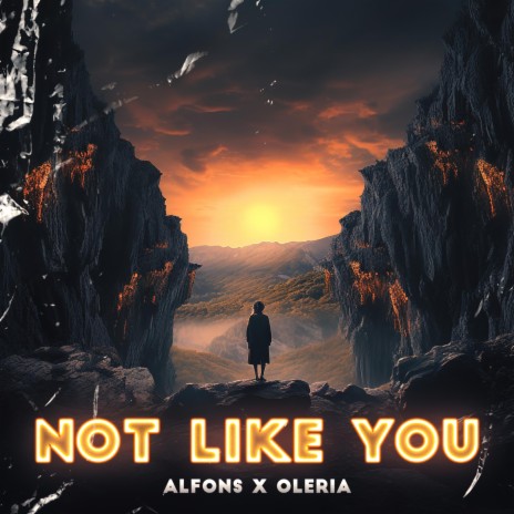 Not Like You ft. Oleria | Boomplay Music