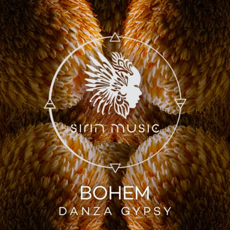 Danza Gypsy ft. Bodaishin | Boomplay Music
