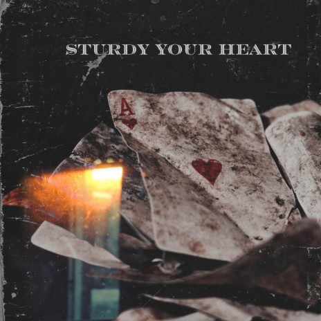 sturdy your heart | Boomplay Music