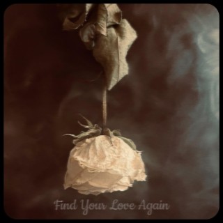 Find Your Love Again
