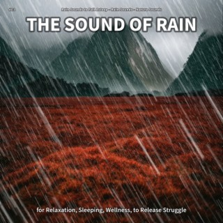 #01 The Sound of Rain for Relaxation, Sleeping, Wellness, to Release Struggle