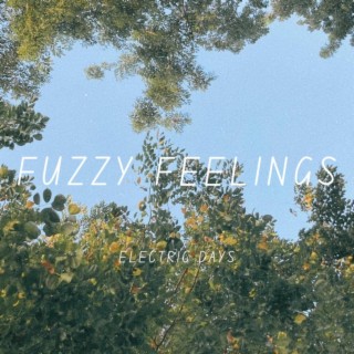 Fuzzy Feelings