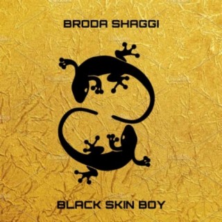 Black Skin Boy lyrics | Boomplay Music