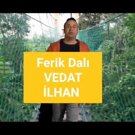 Ferik Dalı | Boomplay Music