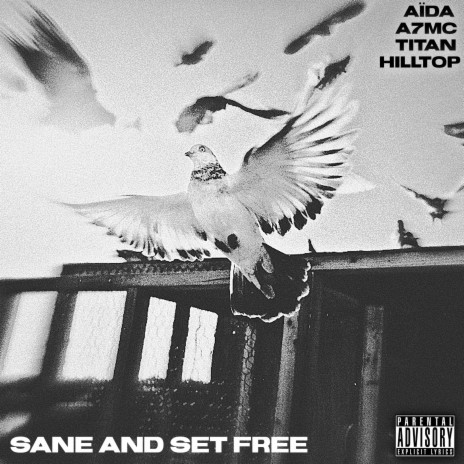 Sane and Set Free ft. Hilltop Productions, Aïda & A7MC