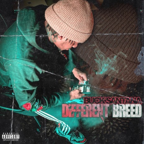 Different Breed | Boomplay Music