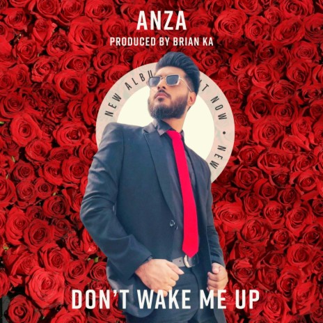 Don't Wake Me Up | Boomplay Music