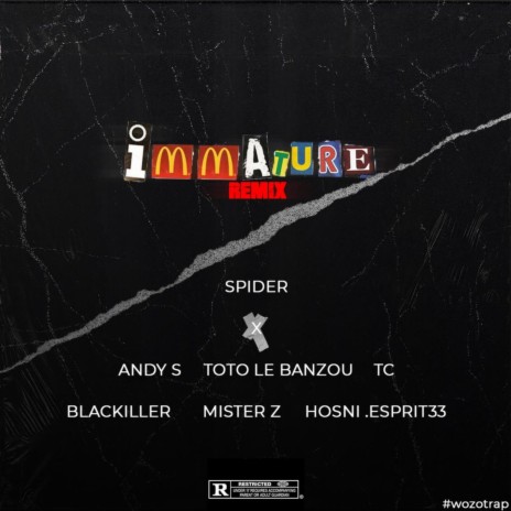 Immature remix ft. Andy S, Toto Le Banzou, TC, Blackiller & Mister Z | Boomplay Music