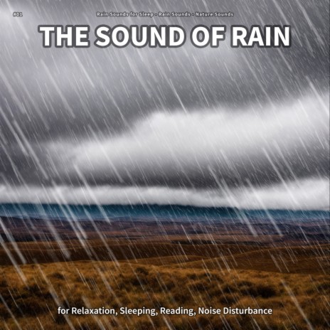 The Sound of Rain, Pt. 93 ft. Rain Sounds & Nature Sounds