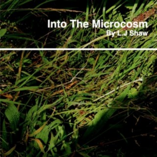 Into The Microcosm