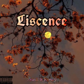 Liscence