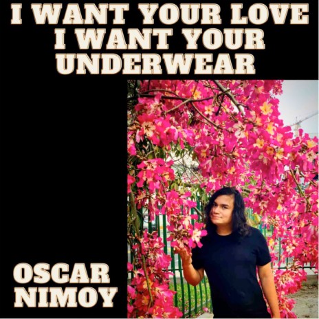 I Want Your Love I Want Your Underwear | Boomplay Music