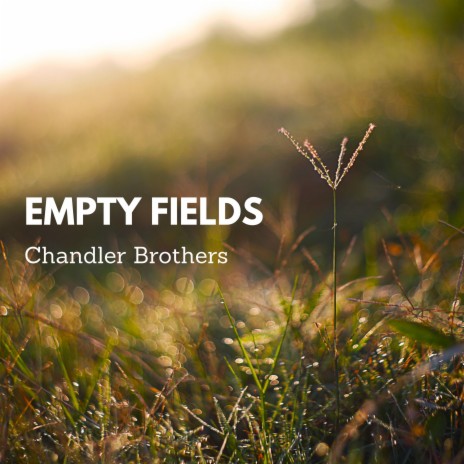 Empty Fields | Boomplay Music