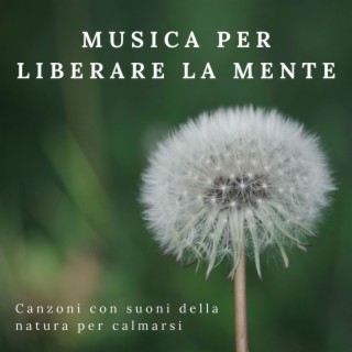 Musica per liberare la mente: Canzoni con suoni della natura per calmarsi