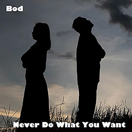 Never Do What You Want | Boomplay Music