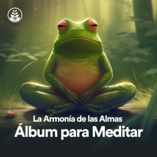 La Armonía de las Almas: Álbum Para Meditar