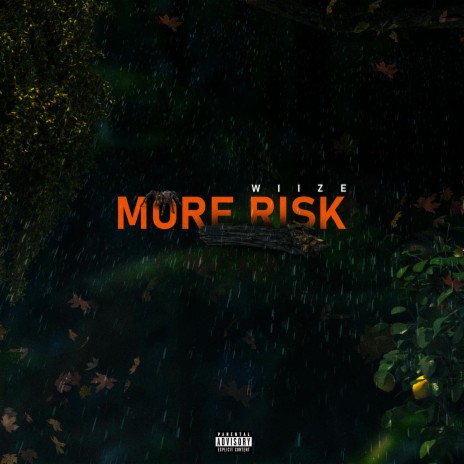 More Risk | Boomplay Music