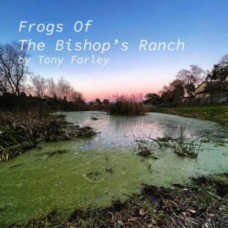 Frogs Of The Bishop's Ranch