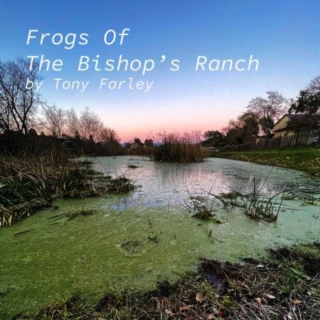 Frogs Of The Bishop's Ranch | Boomplay Music