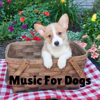 Music For Dogs