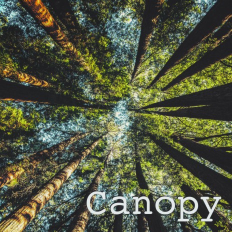 Canopy | Boomplay Music