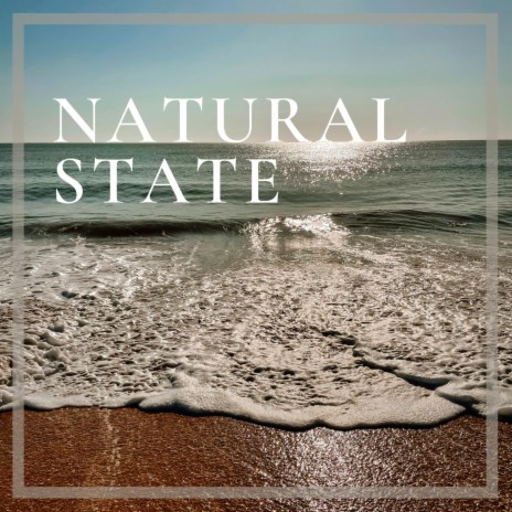 Natural State | Boomplay Music
