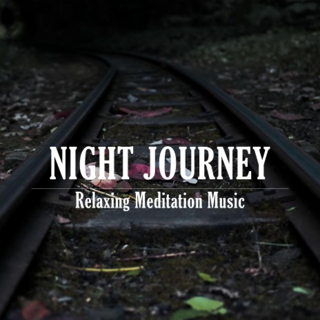Night Journey | Boomplay Music