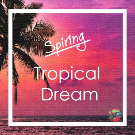 Tropical Dream | Boomplay Music