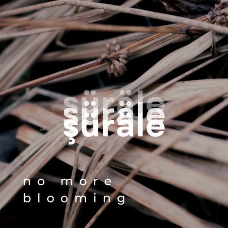 No More Blooming | Boomplay Music