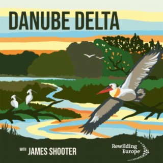 #14 - Danube Delta - Ukraine  & Romania