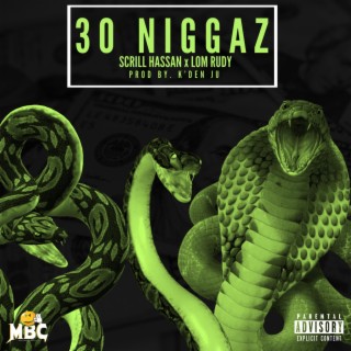 30 Niggaz