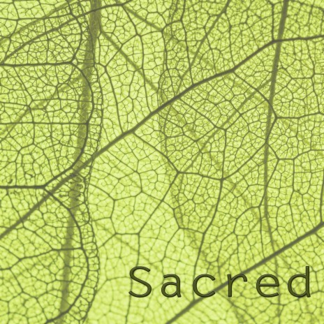 Sacred part six | Boomplay Music