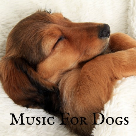 Relax Puppy ft. Music For Dogs Peace, Relaxing Puppy Music & Calm Pets Music Academy | Boomplay Music