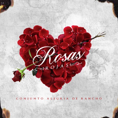 Rosas Rojas | Boomplay Music