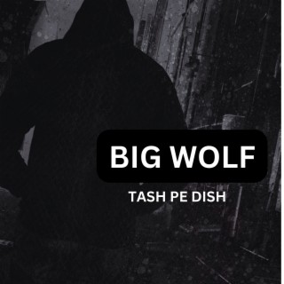 Tash Pe Dish