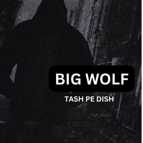 Tash Pe Dish | Boomplay Music