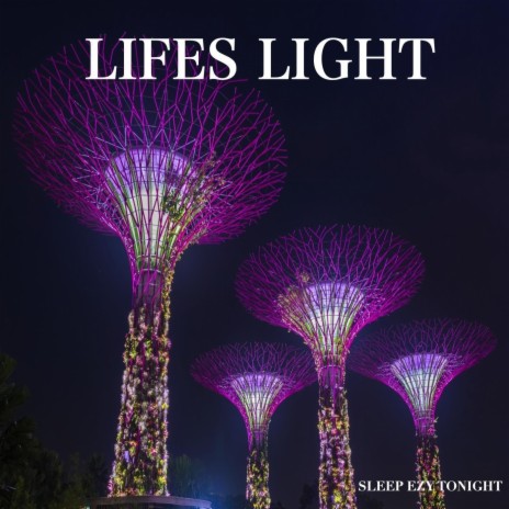 Lifes Light | Boomplay Music