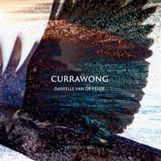 Currawong (Extended Mix)