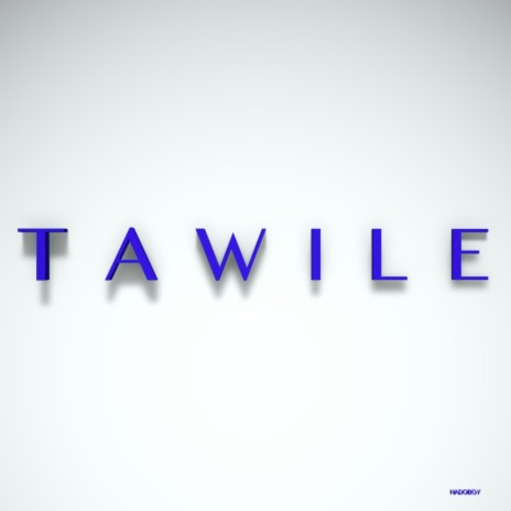 TAWILE (feat. Tiger music)