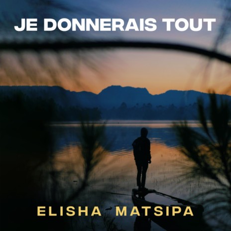 Je Donnerais Tout | Boomplay Music