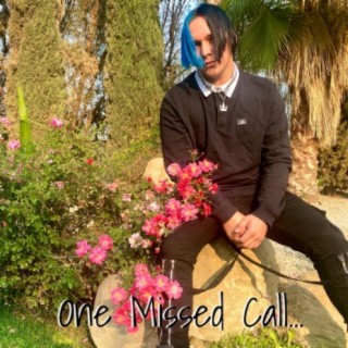 One Missed Call...