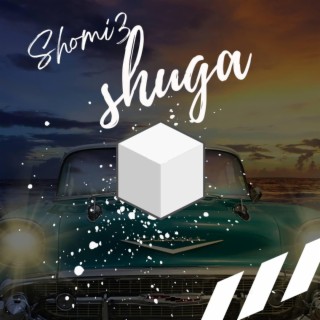 Shuga lyrics | Boomplay Music