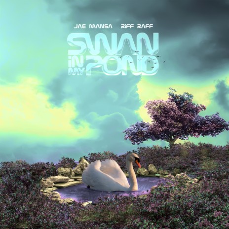 SWAN iN MY POND ft. Riff Raff | Boomplay Music