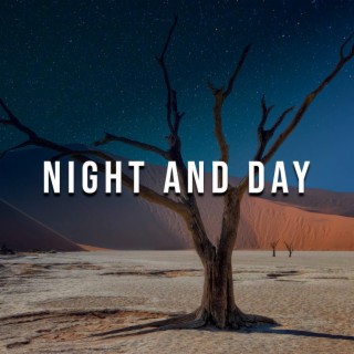 Night And Day